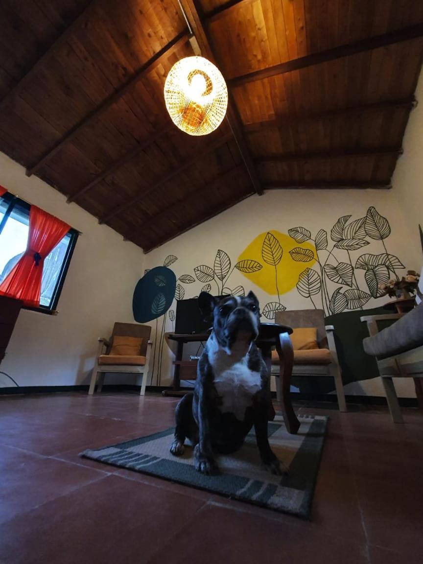 Cabanas Guatape Holiday home Guatape
