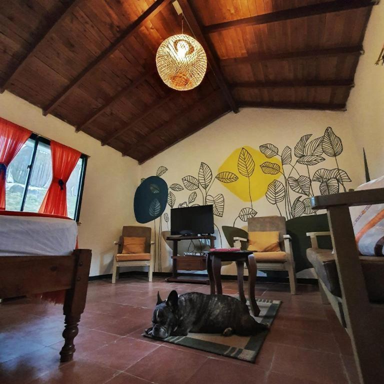 Cabanas Guatape *