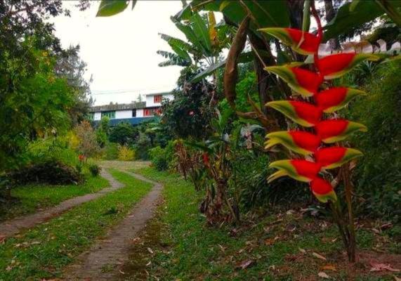 Holiday home Cabanas Guatape
