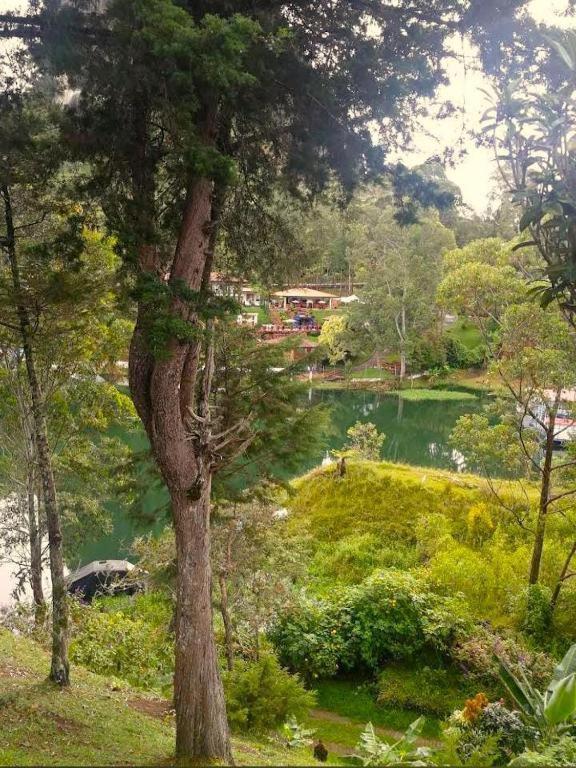 Cabanas Guatape
